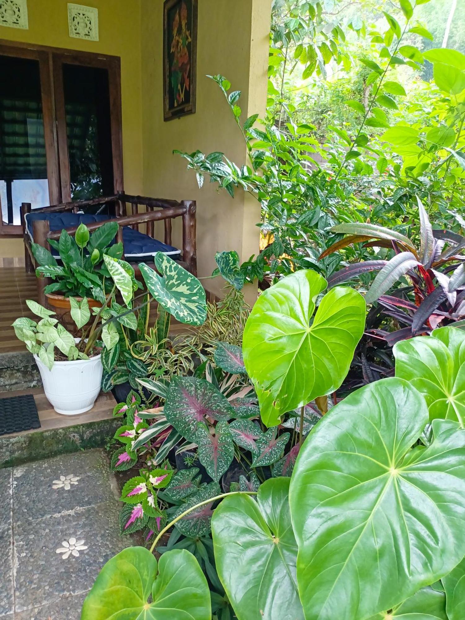 Munduk Amartya Puri Green Cottages מראה חיצוני תמונה