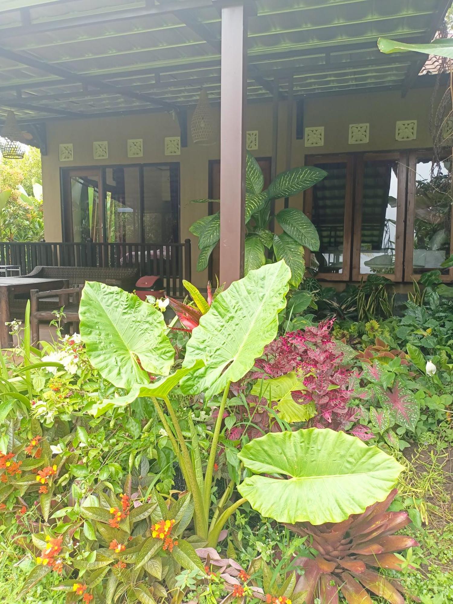 Munduk Amartya Puri Green Cottages מראה חיצוני תמונה