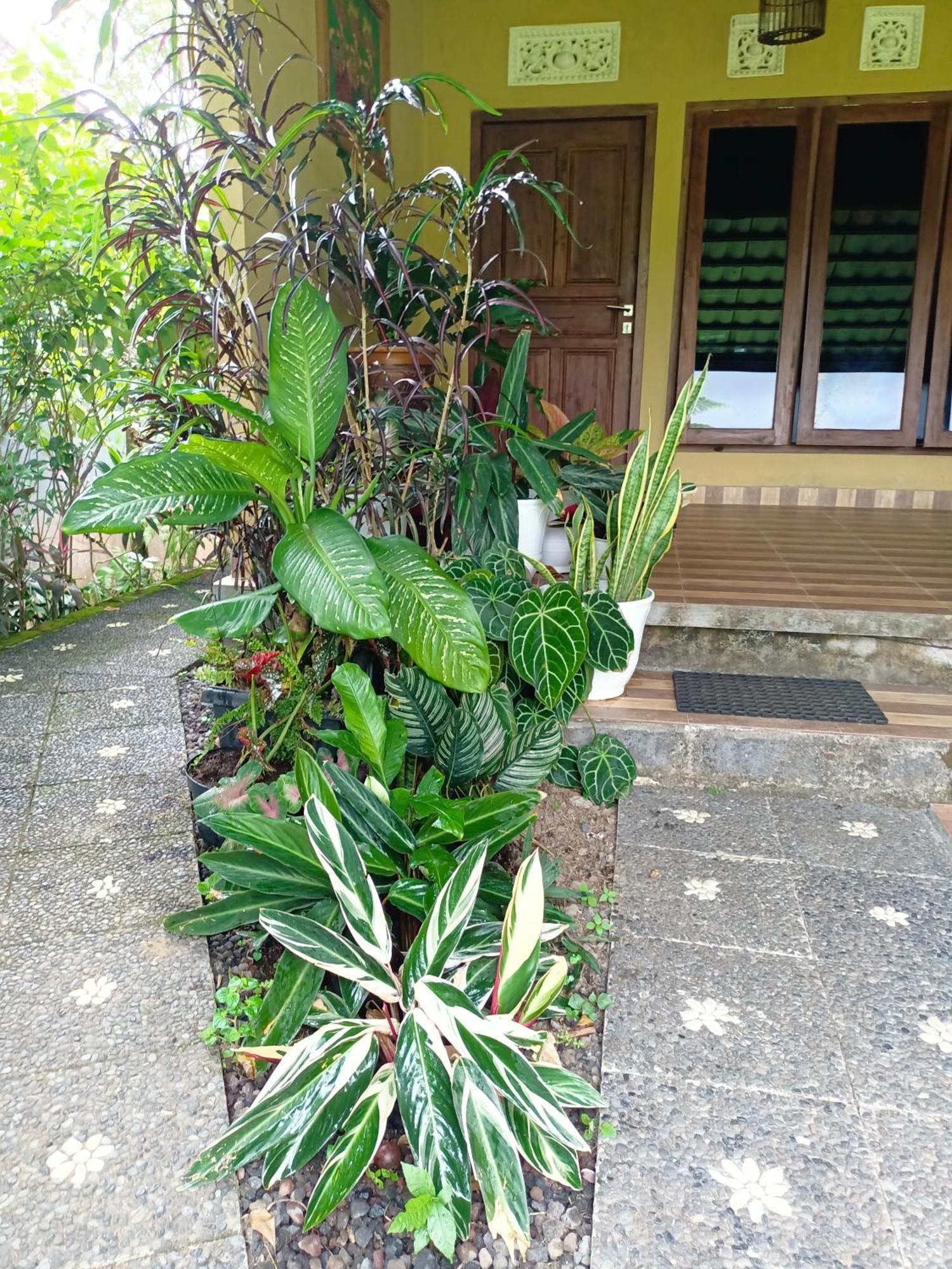 Munduk Amartya Puri Green Cottages מראה חיצוני תמונה