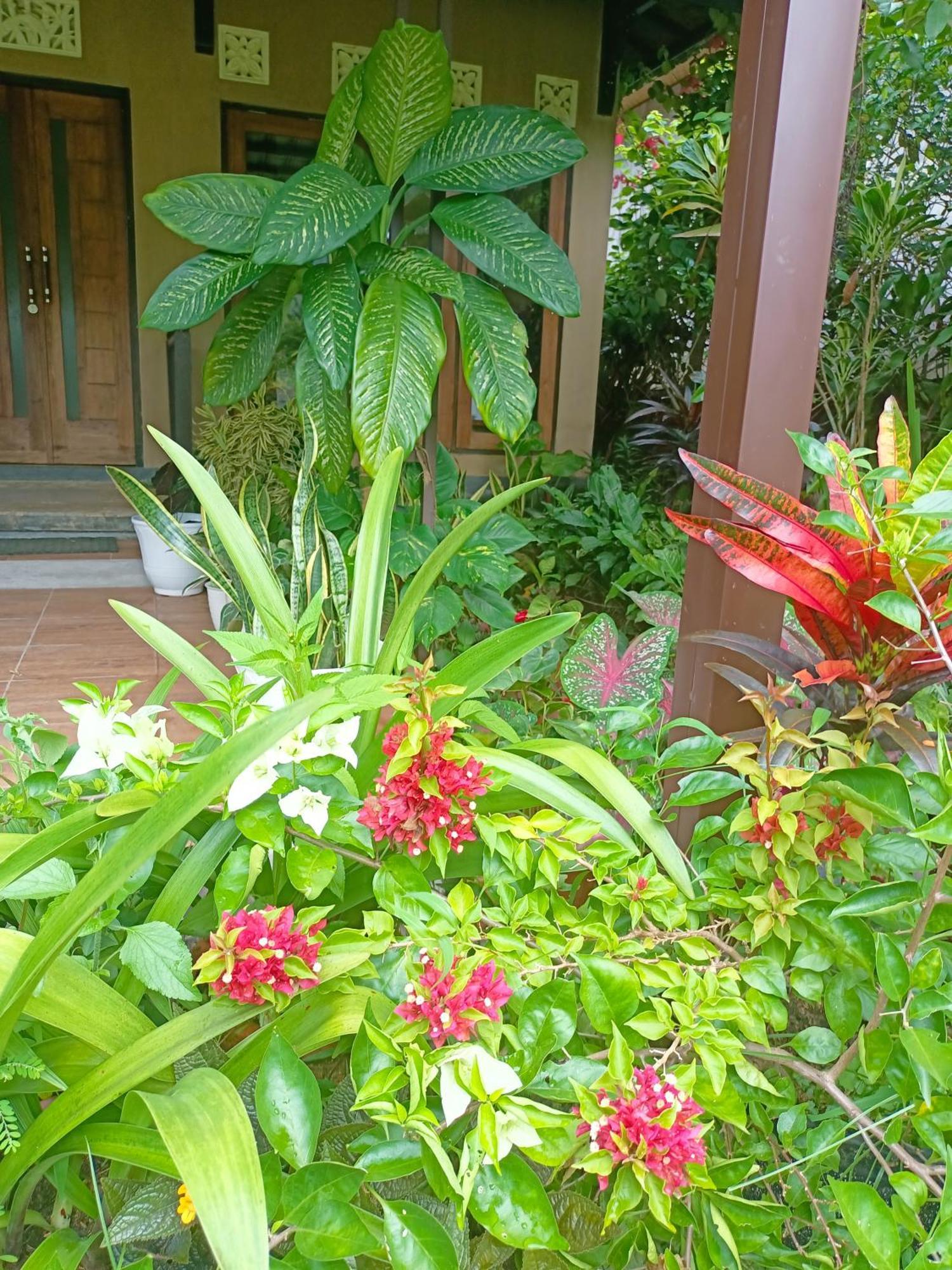 Munduk Amartya Puri Green Cottages מראה חיצוני תמונה